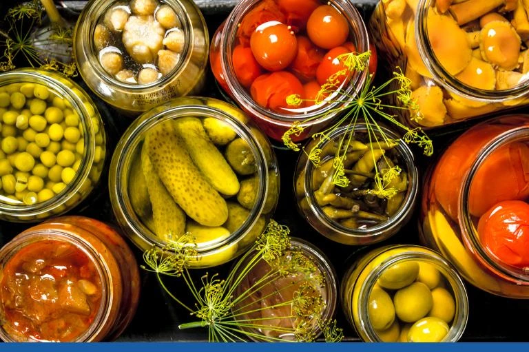 Kışa Hazırlık Rehberi