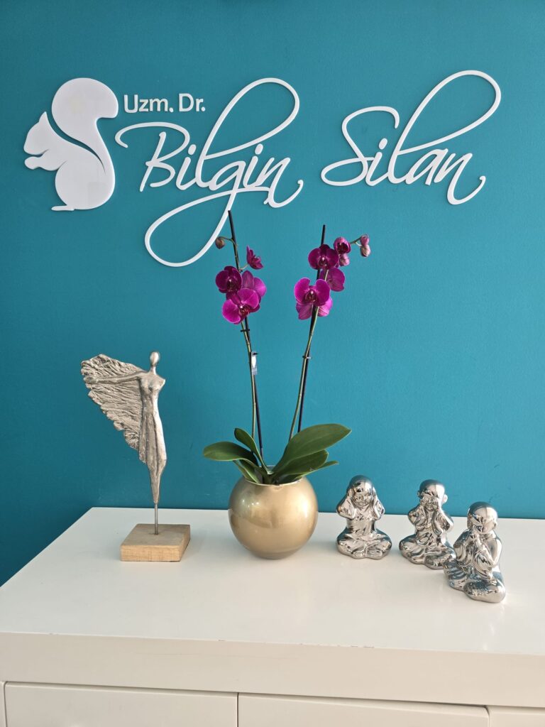 bilgin-silan